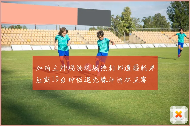 加纳主帅现场观战热刺却遭噩耗库杜斯19分钟伤退无缘非洲杯正赛